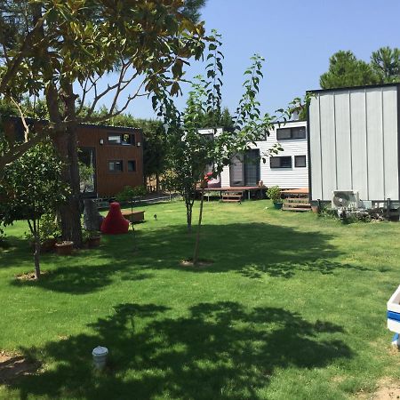 Sakiz Tiny House & Apart Urla Eksteriør billede